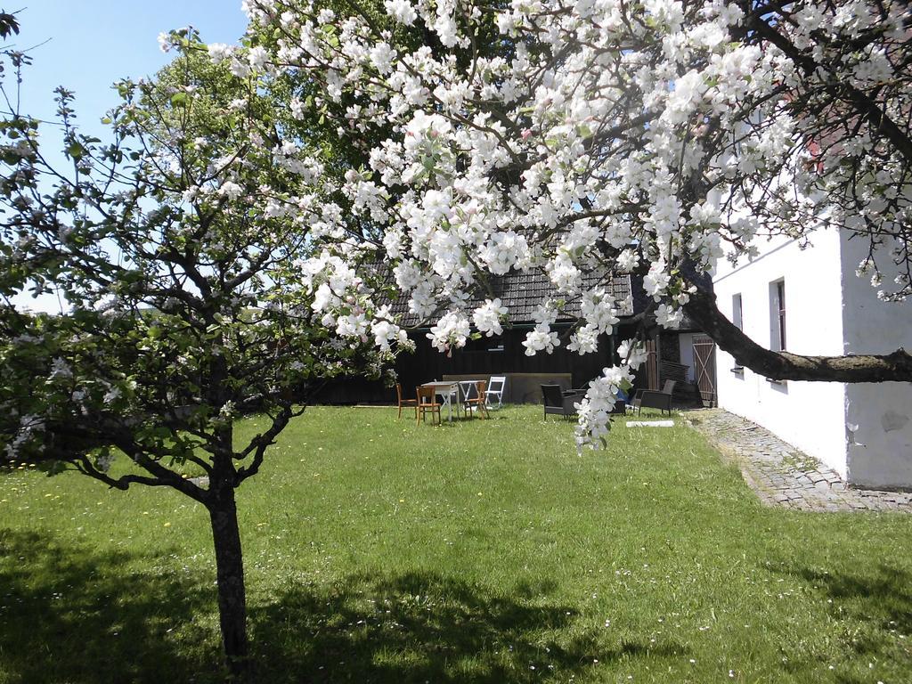 Abc Apartments Černá v Pošumaví Buitenkant foto